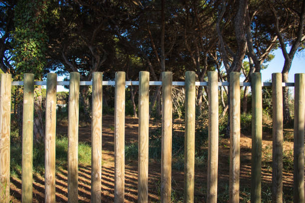 istock Delta del Llobregat in Barcelona, Spain 2150136275