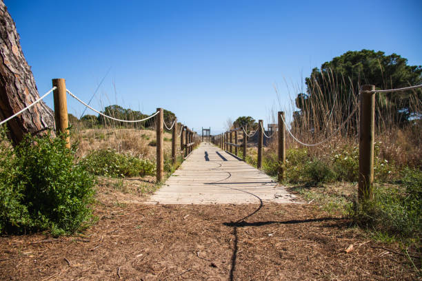 istock Delta del Llobregat in Barcelona, Spain 2150136367