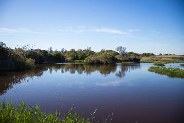 istock Delta del Llobregat in Barcelona, Spain 2150136522