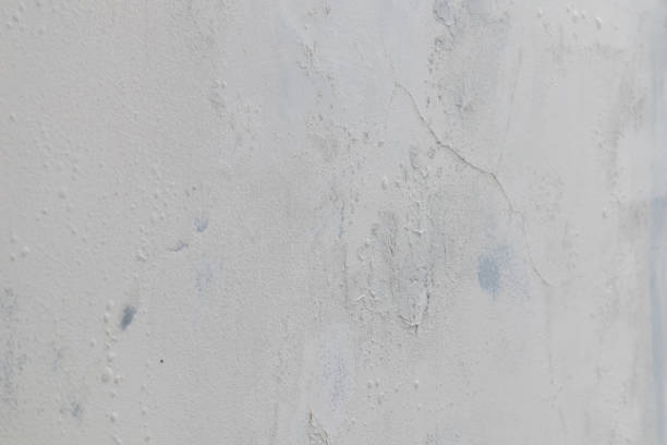 Moisture on the wall. Wall damage and peeling paint.