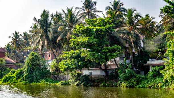 Portuguese colonial style houses in the lush vegetation along the Mandovi river of Goa.