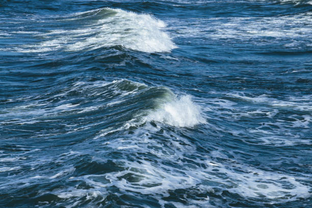 Sea wave crashing on the shore