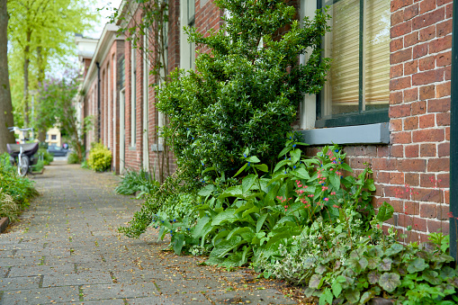 Urban gardens in the city of Groningen