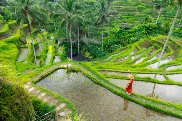 istock Female Traveler Visiting Local Attractions 2150143773