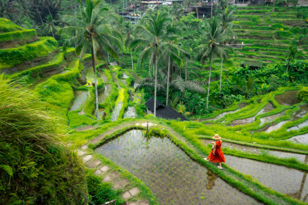 istock Female Traveler Visiting Local Attractions 2150143780