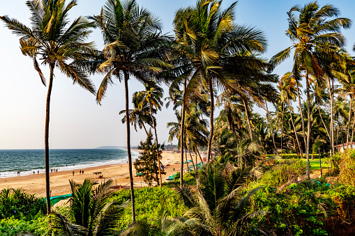 Coconut trees over the sea on the beach of Cabo de Rama in Goa India