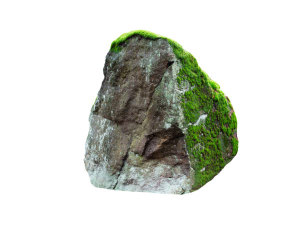 istock big stone covered with moss isolated on white background 2150146862