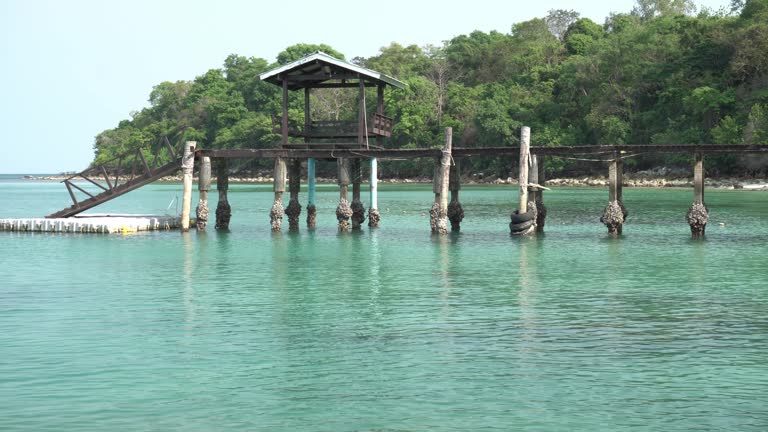 Beautiful tropical bridge on beach at Samed island , Thailand