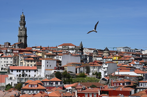 Panorama of the city of Porto