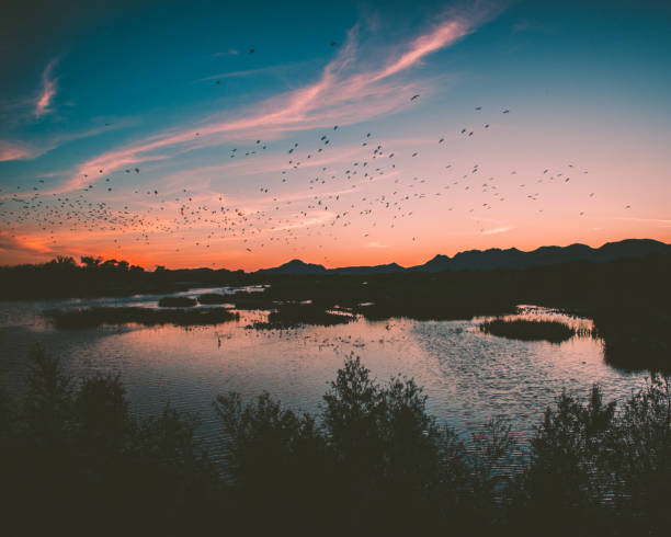 istock Aesthetic San Pedro river horizon 2150150467