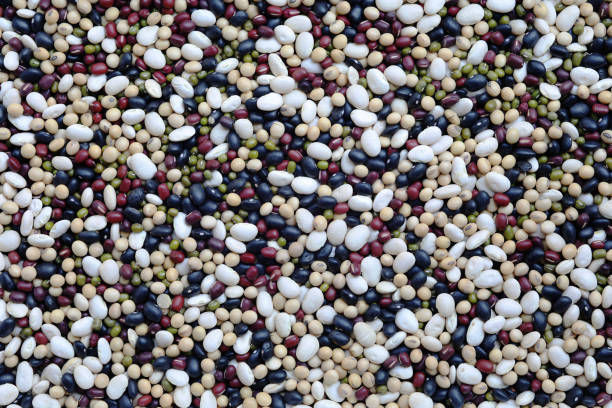 5 colored beans black, red, green beans, white beans, soybean