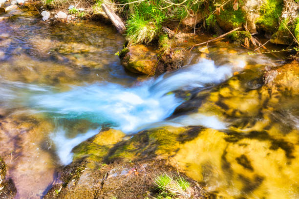 on the Rennsteig in the Thuringian Forest