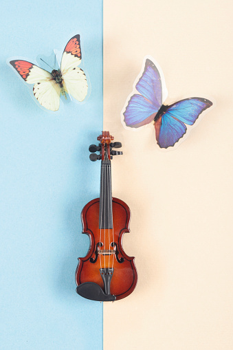 Violin and butterflies