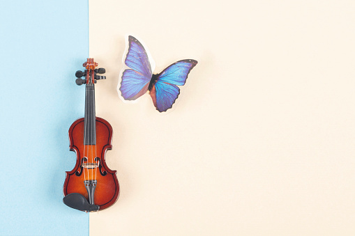 Violin and butterfly