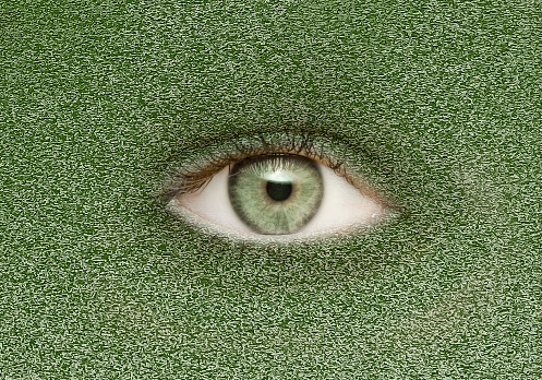 Eye with green pupilin green camouflage background