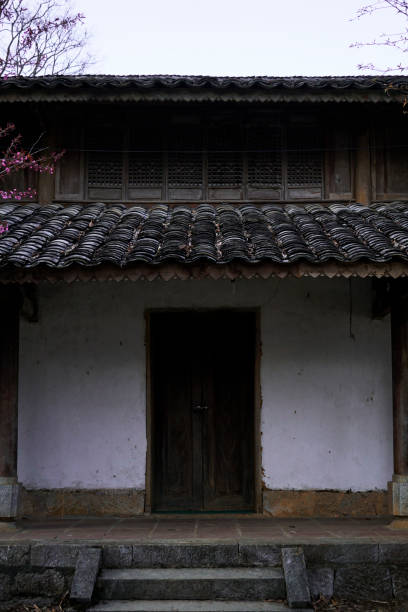 Traditional Hmong front  house with cherry blossom branches