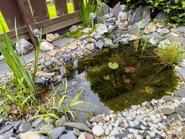 istock garden pond in the spring with nature stones 2150161924
