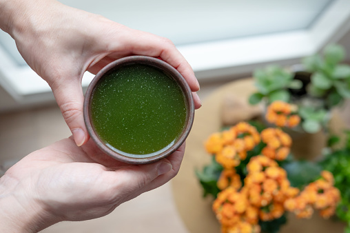 Female hands holding a cup with drink from young barley and chlorella spirulina powder or matcha tea, healthy green juice.