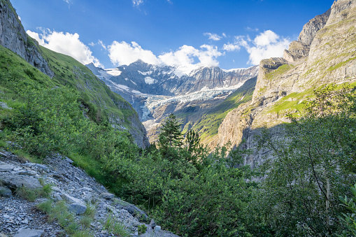 The massif of Grosses Fiescher horn peak over the glacial valley - Switzerland - Grindelwald.