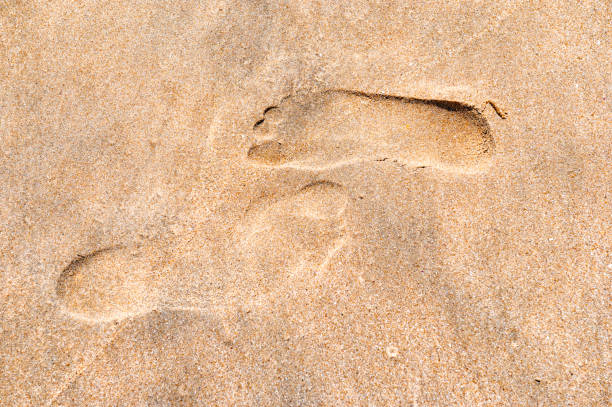 ビーチでの出会い、砂の足跡