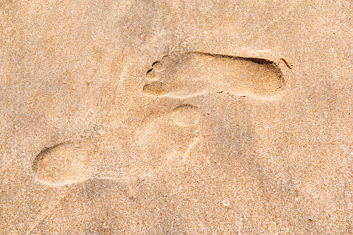 child and adult footprints on sand beach, top view
