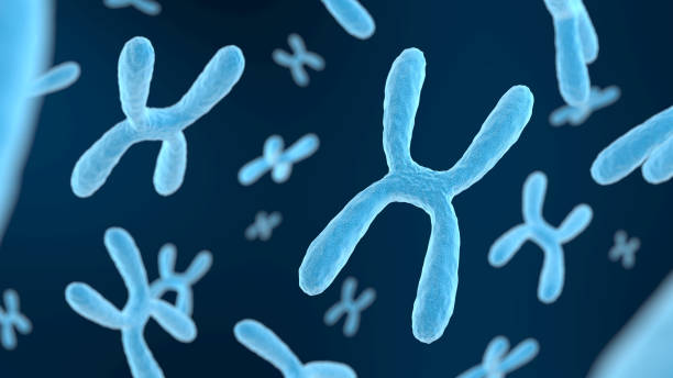 istock Chromosome on dark background. Blue color. 2150165936