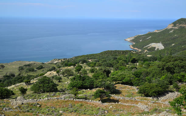 istock Gokceada Forests is in Canakkale, Turkey. 2150167283