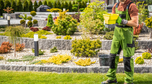 istock Professional Gardener Fertilizing the Lawn 2150168258