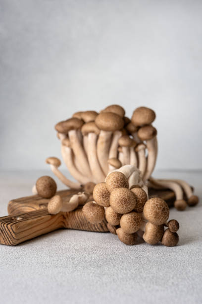 istock Raw brown shimeji mushrooms 2150170077