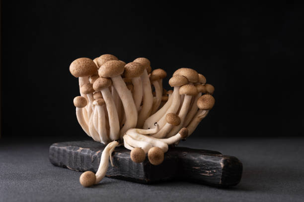 istock Fresh brown shimeji mushrooms 2150170082