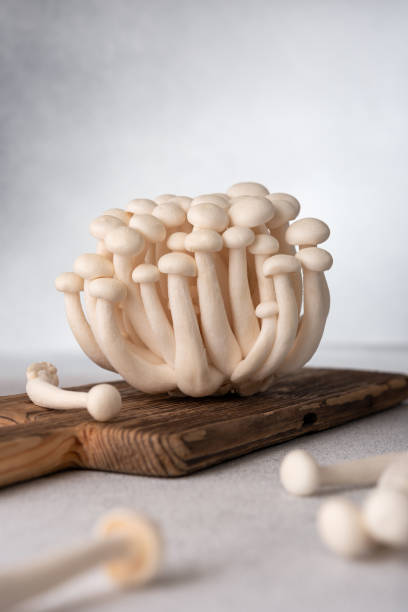 istock Fresh white shimeji mushrooms on gray background 2150170086