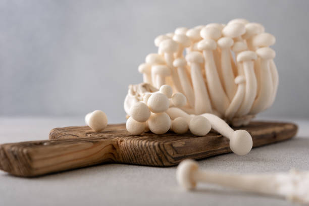 istock Fresh white shimeji mushrooms on gray background 2150170096