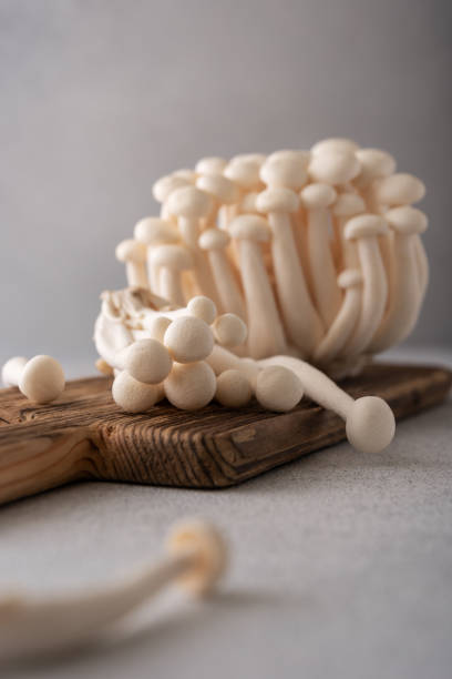 istock Fresh white shimeji mushrooms on gray background 2150170102