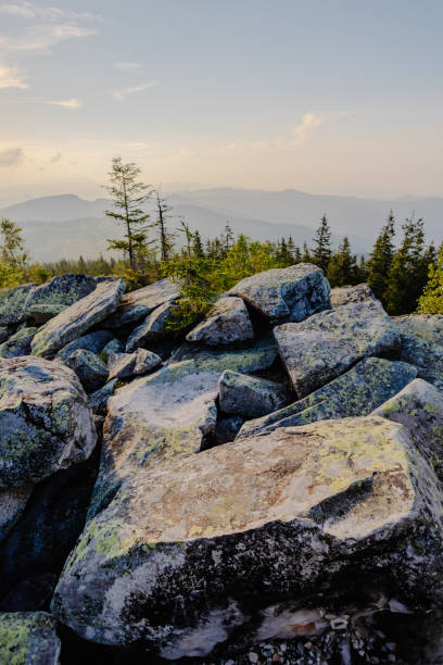 A rocky terrain with scattered trees, set against a backdrop of towering mountains. The rugged landscape showcases the harmony of rocks, vegetation, and distant peaks.