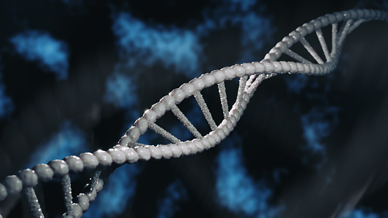 This high-resolution image captures a detailed close-up of a DNA double helix structure. The DNA strands are intricately intertwined, with the characteristic double helix shape clearly visible. The image features a blue background that accentuates the white and light blue tones of the DNA model. The focus on the DNA structure provides a sense of depth and scientific precision. This image is perfect for use in educational materials, scientific publications, or any content related to genetics, biology, or medical research.