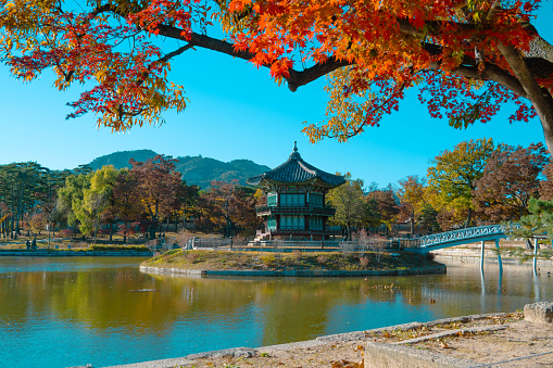 Experience the tranquil charm of Hyangwonjeong Pavilion nestled in Gyeongbokgung Palace, Seoul, South Korea, on a picturesque day. The pavilion is an historic gem.