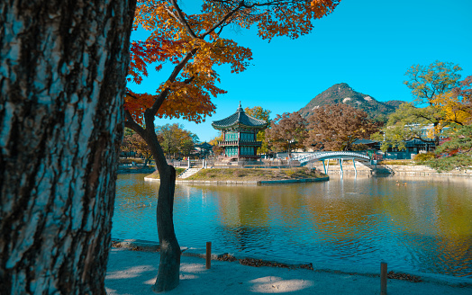 Experience the tranquil charm of Hyangwonjeong Pavilion nestled in Gyeongbokgung Palace, Seoul, South Korea, on a picturesque day. The pavilion is an historic gem.