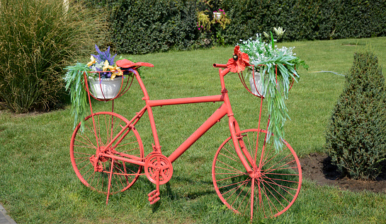 decorative bicycle with baskets of flowers. decoration of lawns in city parks and squares. landscape design and decorations. place for a photo. beauty in nature