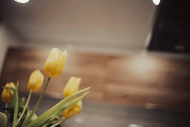 Yellow tulip flower bouquet in bloom on an interior decor still