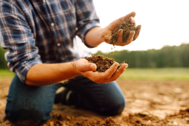 istock Male hands touching soil on the field. 2150184571