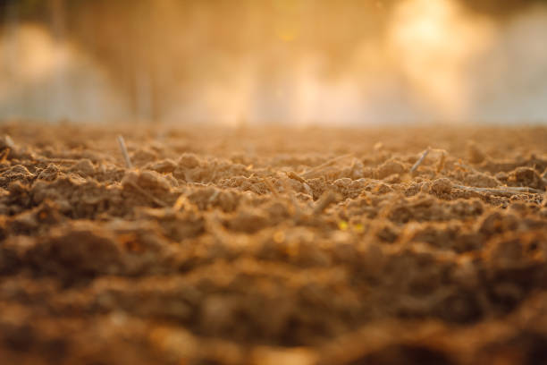 Close-up of black soil.  Rural landscape.  Agriculture farm.