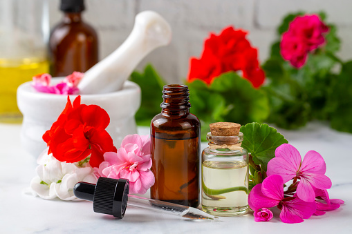 Geranium flower and geranium essential oil