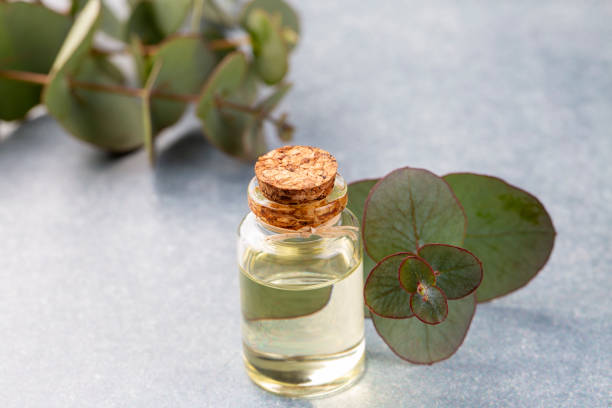 istock Eucalyptus leaves and essential oil 2150189748