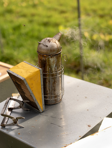 accessory that is used in beekeeping so that bees are calm with smoke