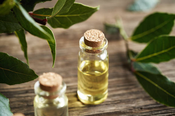 istock Aromatherapy essential oil with fresh bay leaf on a table 2150196003