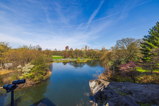 NY.USA. 04.14.2024.  Beautiful view from Belvedere Castle overlooking the lake in Central Park, with people relaxing on the green lawns in early spring.