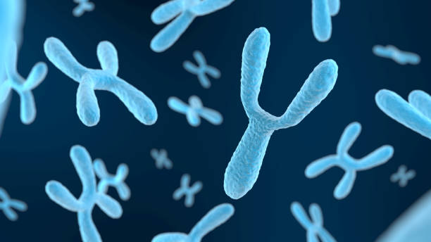 istock Y chromosome on dark background. Blue color. 2150199582