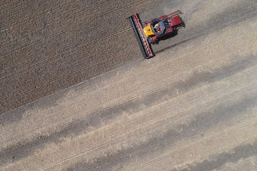 Wheat harvest in the Argentine countryside, La Pampa Province.