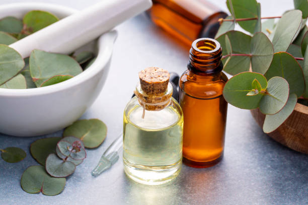 istock Eucalyptus leaves and essential oil 2150201052