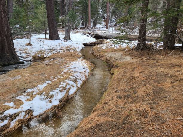 A stream fed from snow melt in San Jacinto State Park, California